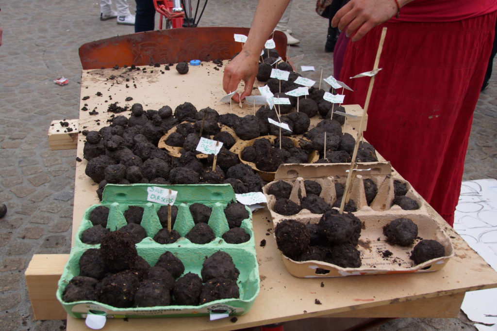 Flickr, Floris Looijesteijn: Seed Bombs, 2013