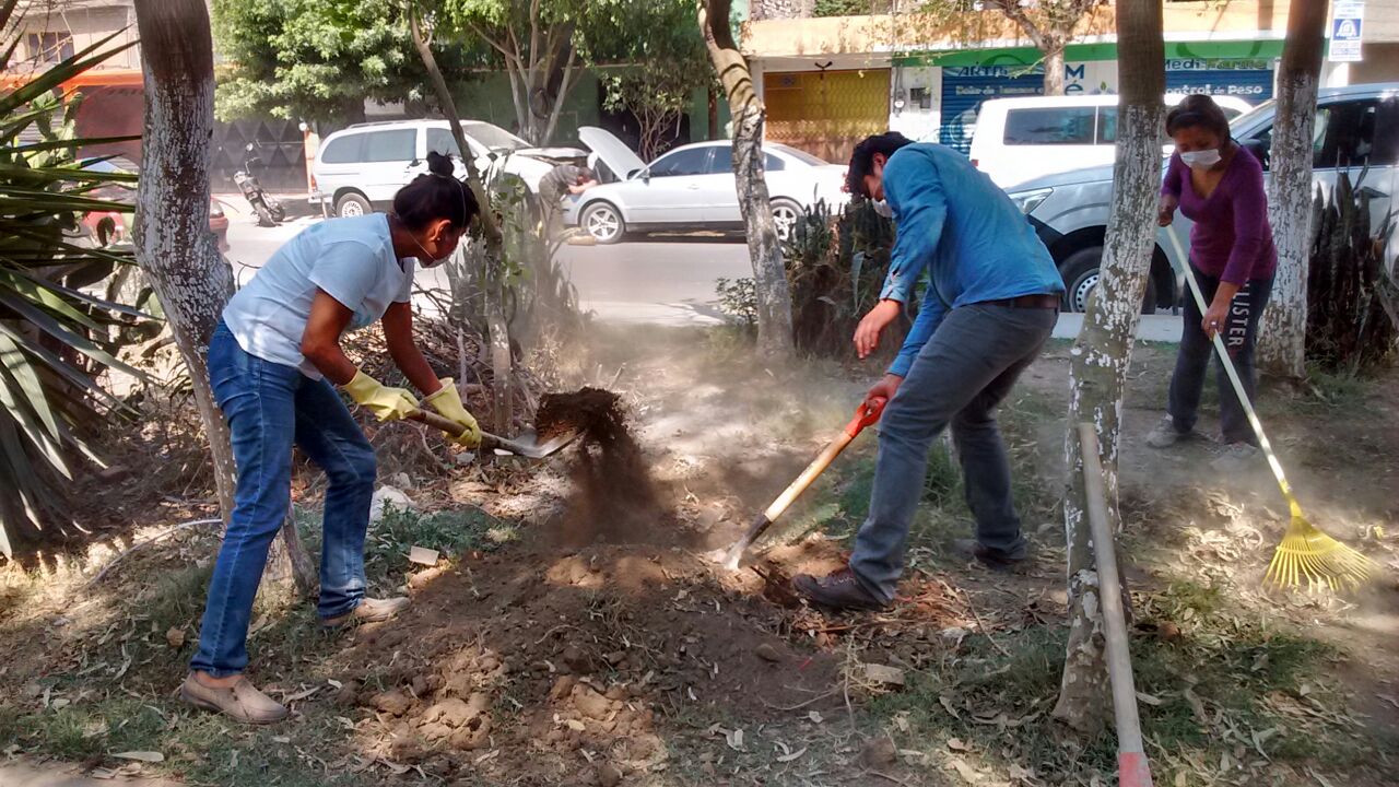 ensamble, mexico city, parcitypatory, sdg 11